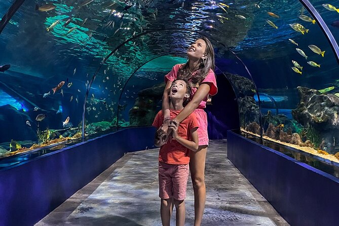 Ticket to the largest Oceanarium of the Mascarene Islands - What the $33.50 ticket is worth