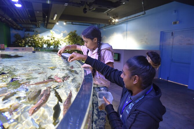 Ticket to the largest Oceanarium of the Mascarene Islands - Why the mobile ticket helps