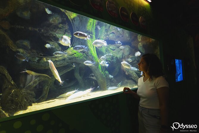 Ticket to the largest Oceanarium of the Mascarene Islands - Who will enjoy this oceanarium most