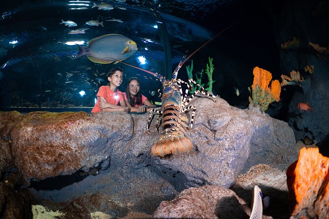Ticket to the largest Oceanarium of the Mascarene Islands - A sensible way to fit it into your day