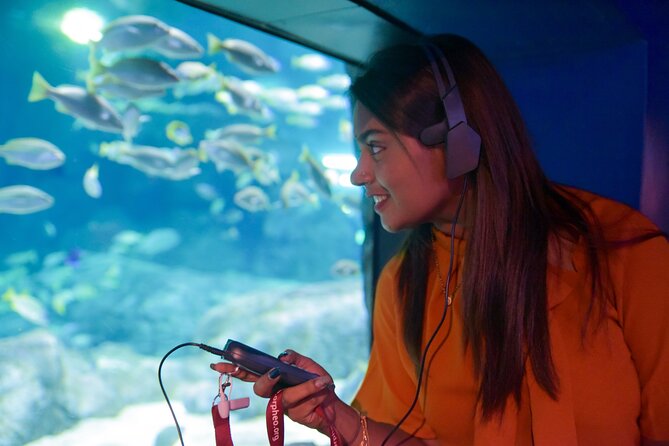 Ticket to the largest Oceanarium of the Mascarene Islands - Should you book Odysseo Oceanarium Mauritius?
