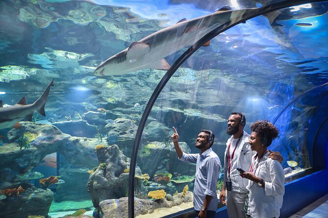 Ticket to the largest Oceanarium of the Mascarene Islands - Why the Indian Ocean setting matters