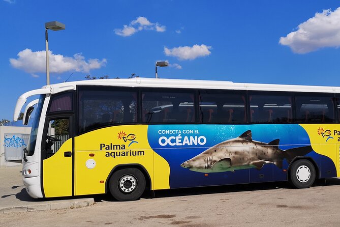 Ticket + Transfer to Palma Aquarium - Key points at a glance