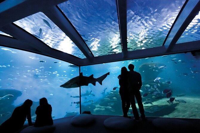 Ticket + Transfer to Palma Aquarium - Inside the aquarium: a route with real variety