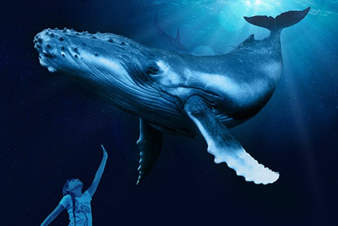 Ticket + Transfer to Palma Aquarium - Food, photos, and paid extras