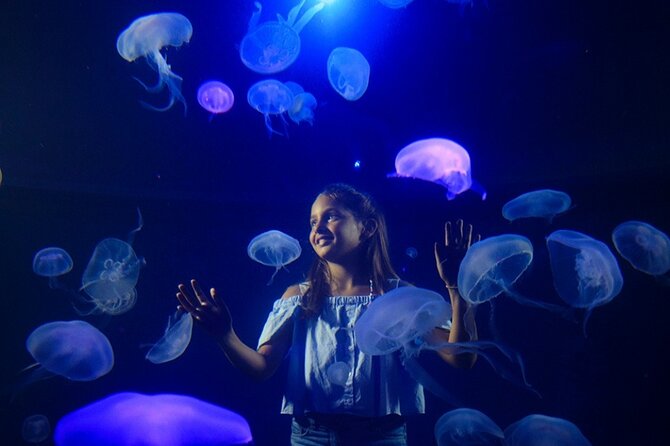 Ticket + Transfer to Palma Aquarium - Crowds, comfort, and access