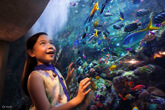 Tickets to Atlantis Lost Chambers Aquarium - What you see during the 1 to 2 hour visit