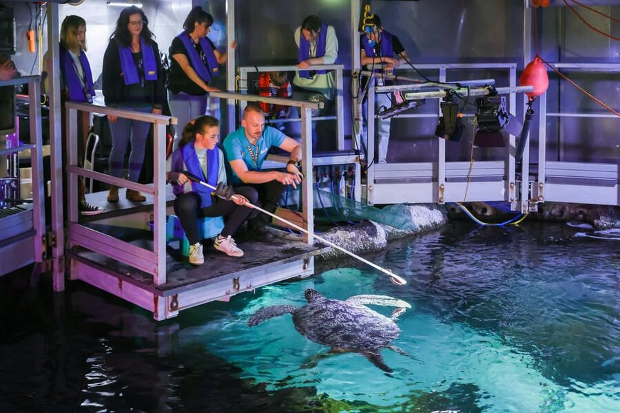 Timmendorfer Strand: SEA LIFE Behind the Scenes Tour - Key points at a glance