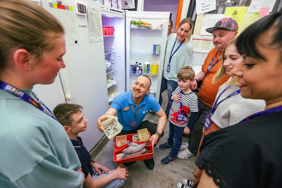 Timmendorfer Strand: SEA LIFE Behind the Scenes Tour - The 90-minute backstage tour is the main event