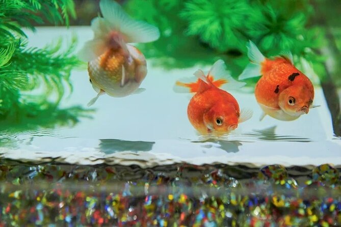 Tokyo Art Aquarium Museum E-Ticket with optional Tokyo Metro Pass - Best For Couples, Families, and First-Time Visitors