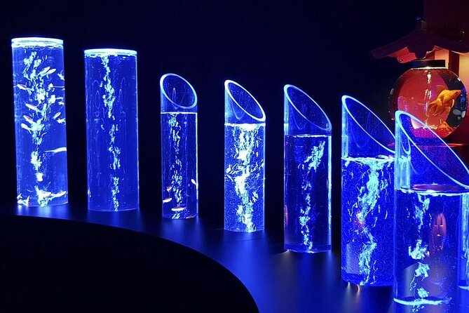 Tokyo Art Aquarium Museum E-Ticket with optional Tokyo Metro Pass - How to Build a Better Ginza Day