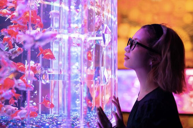 Tokyo Art Aquarium Museum E-Ticket with optional Tokyo Metro Pass - Why Ginza Makes the Visit Practical