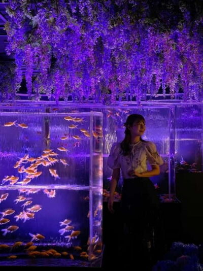 Tokyo: Art Aquarium Museum GINZA Entry Ticket