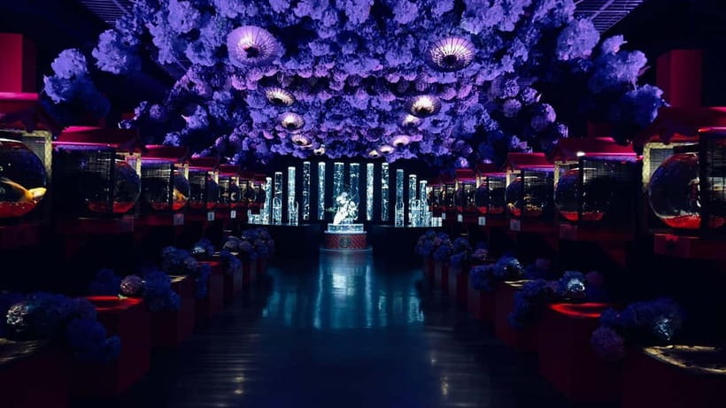 Tokyo: Art Aquarium Museum GINZA Entry Ticket - Seasonal displays give the permanent museum some freshness
