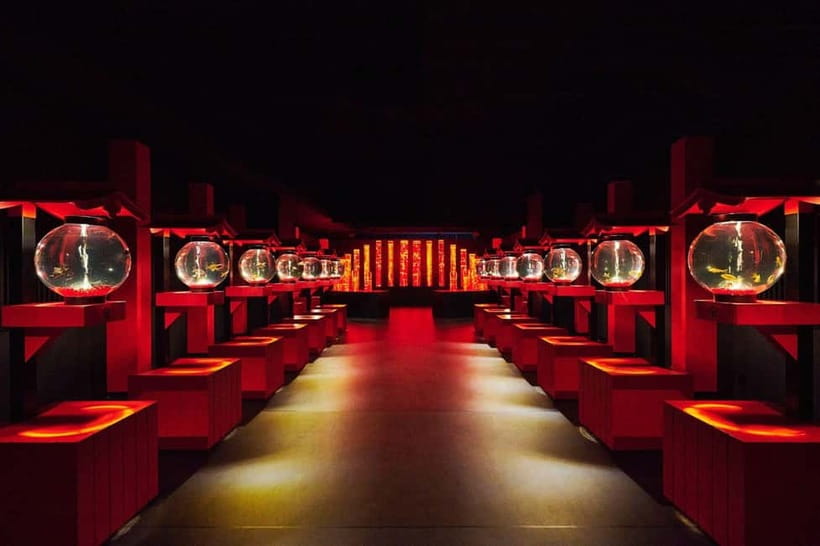 Tokyo: Art Aquarium Museum GINZA Entry Ticket - A practical plan for your visit