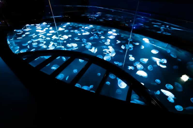 Tokyo: Sumida Aquarium Entry Ticket - Key points to know before you go