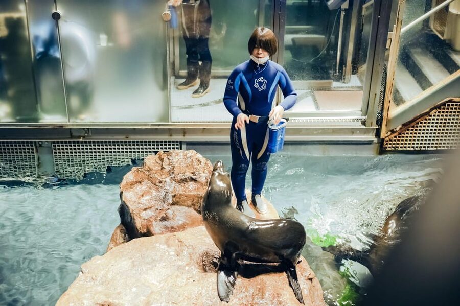 Tokyo: Sumida Aquarium Entry Ticket - Planning your timing around opening hours