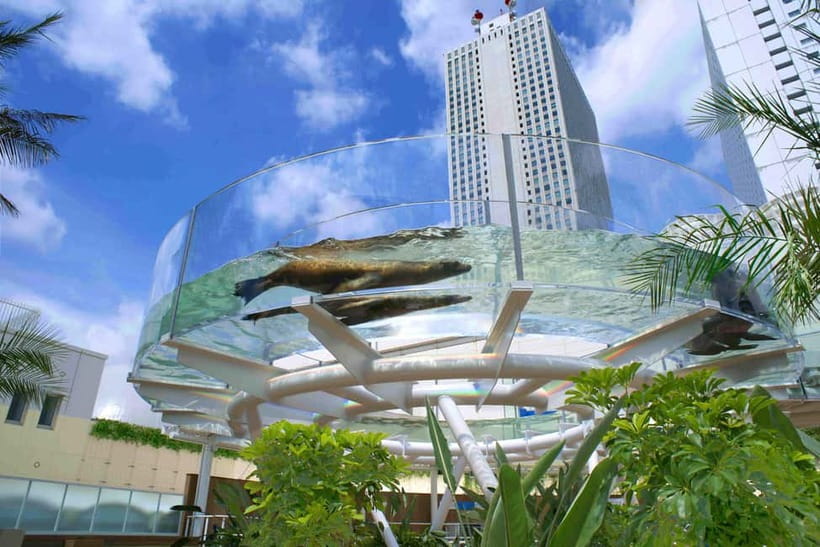 Tokyo: Sunshine Aquarium Entry Ticket - Key points to know before you go