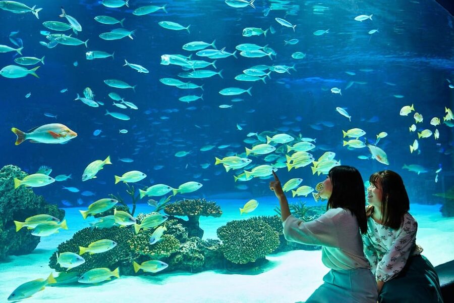 Tokyo: Sunshine Aquarium Entry Ticket - Sunshine Aquarium turns a rooftop into an oasis