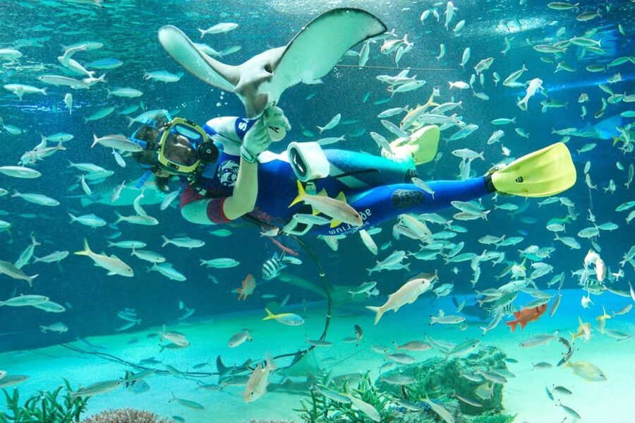 Tokyo: Sunshine Aquarium Entry Ticket - Water, plants, and a tropical break from Ikebukuro