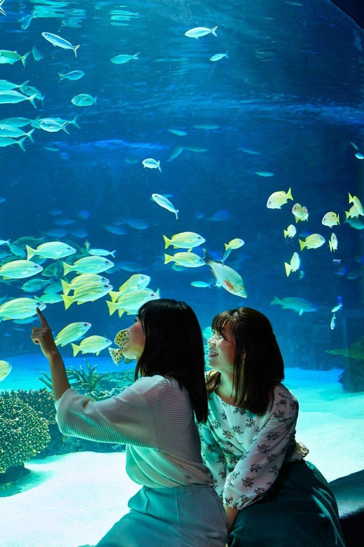 Tokyo: Sunshine Aquarium Entry Ticket - Is $16 a fair price?