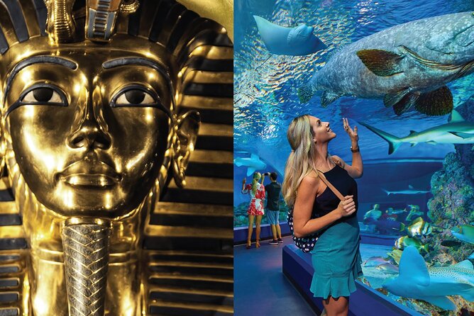Tomb of the Pharaohs and Cairns Aquarium Combo - Key points to know before you book