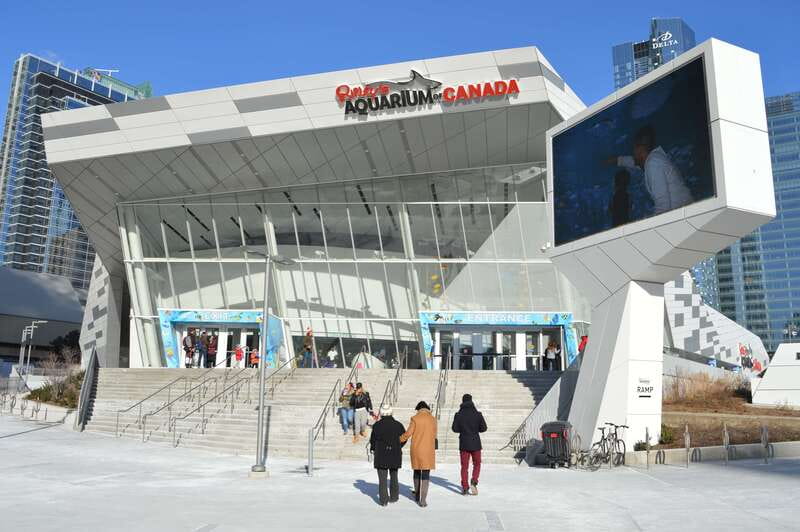 Toronto: Ripley's Aquarium of Canada Entry Ticket - Save time for Dangerous Lagoon