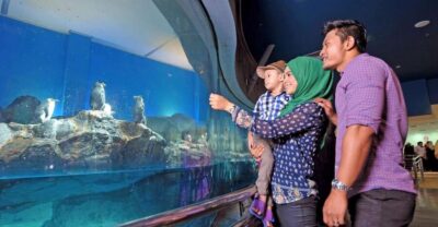 Underwater World Langkawi Admission Ticket
