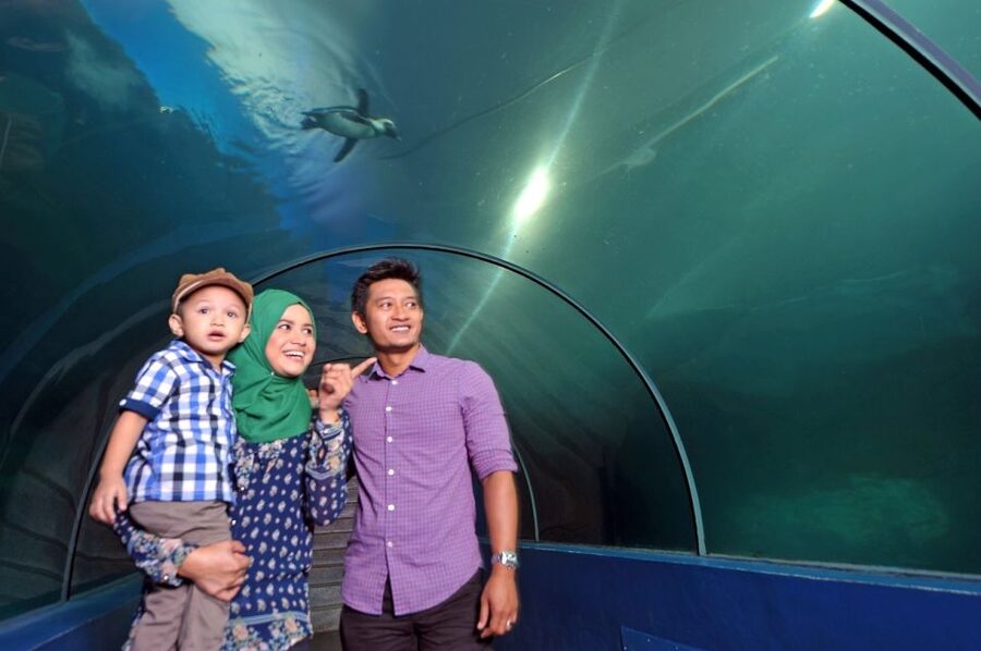 Underwater World Langkawi Admission Ticket - How to plan your time inside
