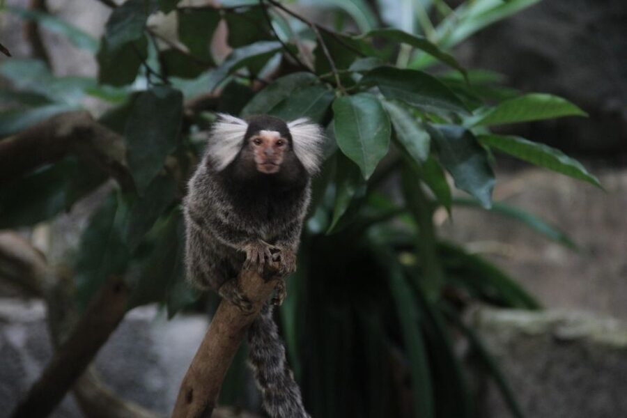 Underwater World Langkawi Admission Ticket - What $15 gets you