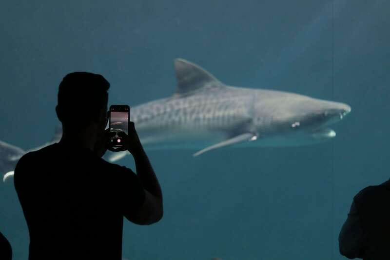 Veracruz: 5-Attraction Tour with Aquarium and Boat Tour - San Juan de Ulúa and its prison legends
