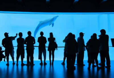 Veracruz: Panoramic Sightseeing City Tour and Aquarium