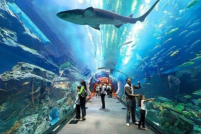 VIP Experience Dubai Aquarium & Underwater Zoo-As per Selection - What the VIP selection actually changes