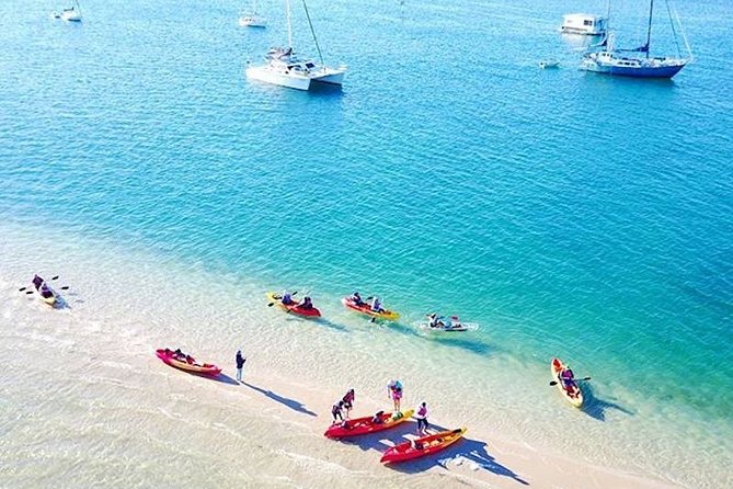 Whale Watching by Sea World Cruises - Is the $63.83 price good value?