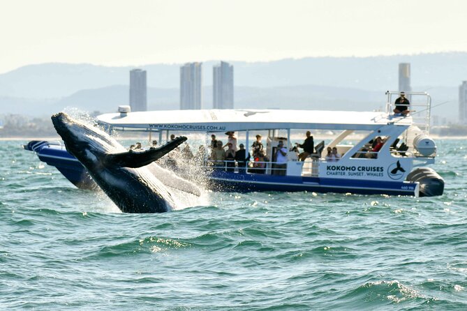 Whale Watching by Sea World Cruises - Booking, cancellation, and practical details