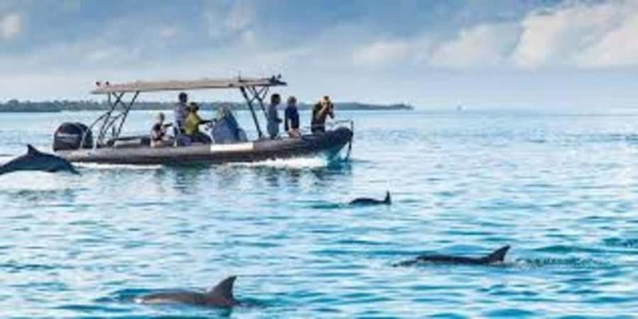 ZANZIBAR: Mnemba island, Baraka aquarium and spice farm - When low tide reveals a sandbank