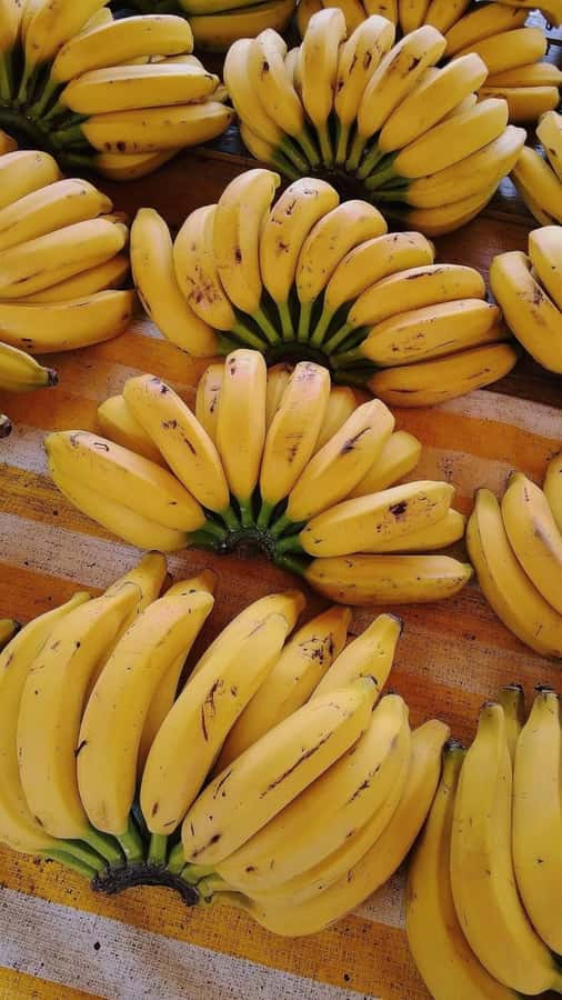 ZANZIBAR: Mnemba island, Baraka aquarium and spice farm - Tasting Zanzibar at the spice farm