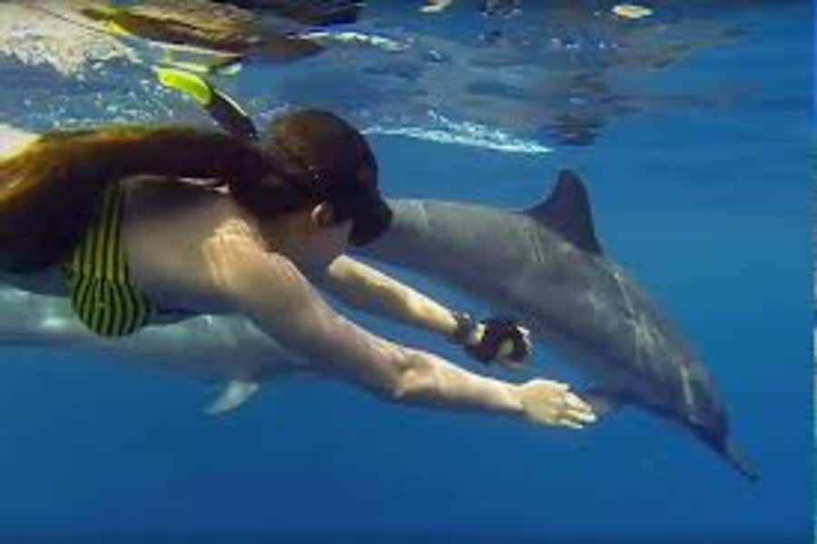 ZANZIBAR: Mnemba island, Baraka aquarium and spice farm - Swimming with sea turtles at Baraka Aquarium