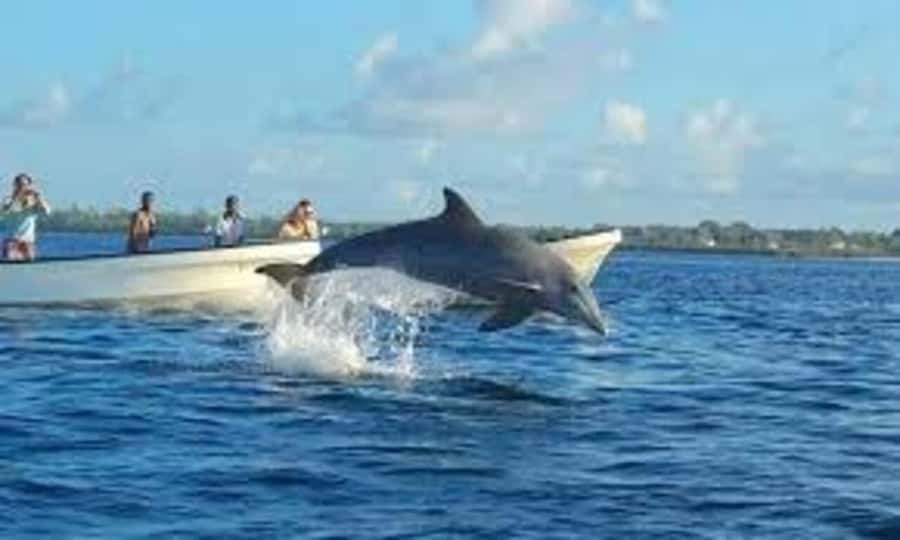 ZANZIBAR: Mnemba island, Baraka aquarium and spice farm - Who will get the most from this experience