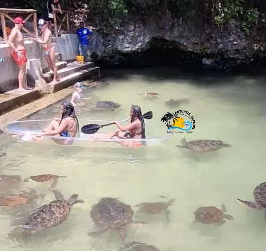 Zanzibar: Nungwi Mnarani Aquarium Feed and Swim with Turtles - Reaching Mnarani from your Zanzibar hotel