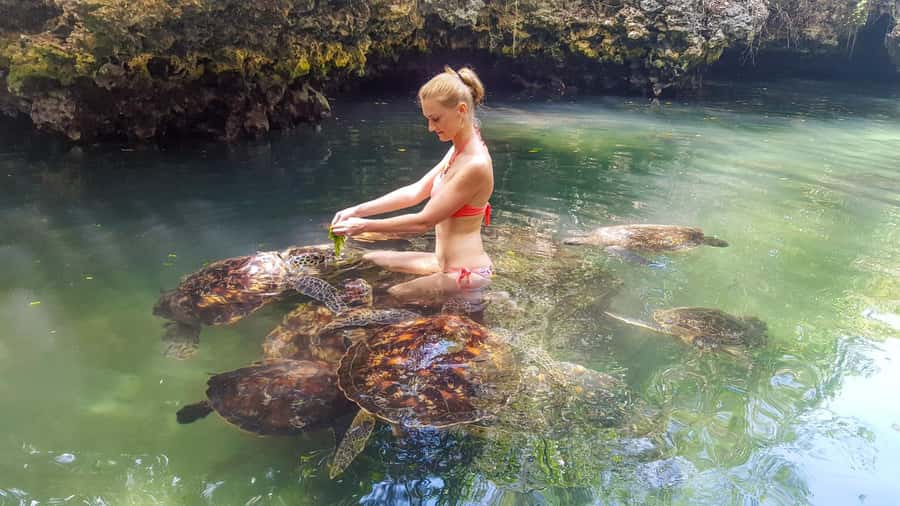 Zanzibar: Nungwi Turtle Aquarium Guided Half-Day Trip - Key points to know before booking