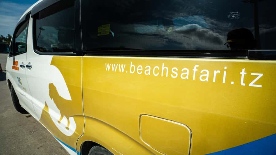 Zanzibar: Nungwi Turtle Aquarium Guided Half-Day Trip - Who should book this half-day trip?
