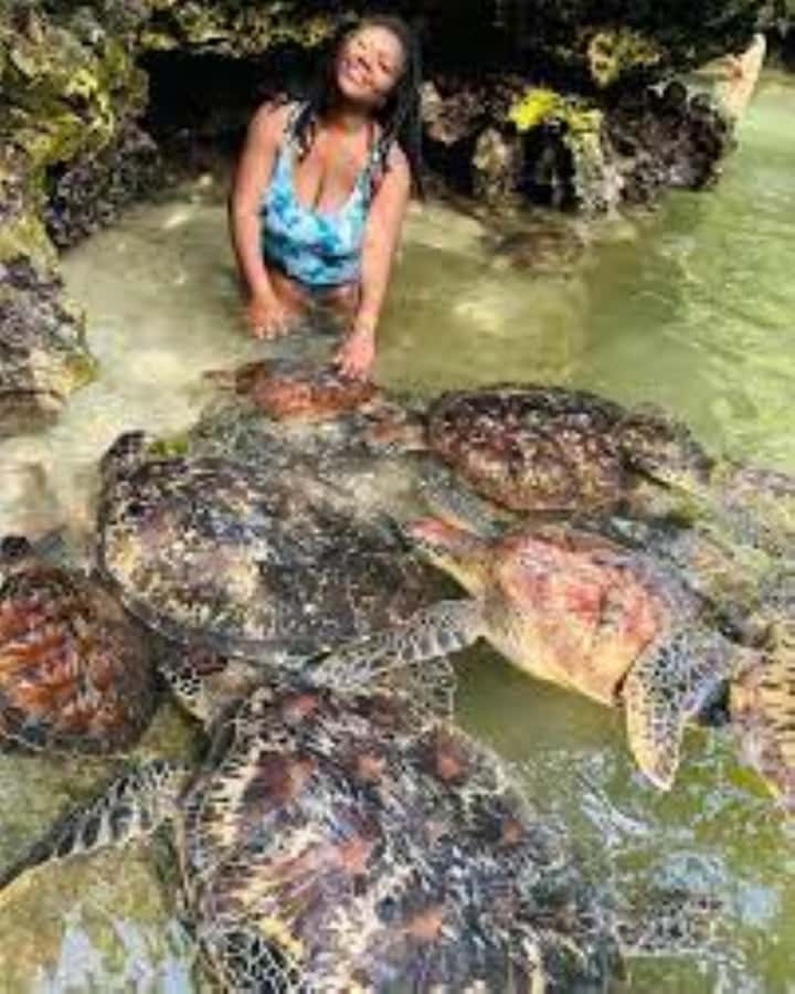 Zanzibar: Swim with Sea Turtles at Baraka or Salaam Aquarium - Why an early start makes sense