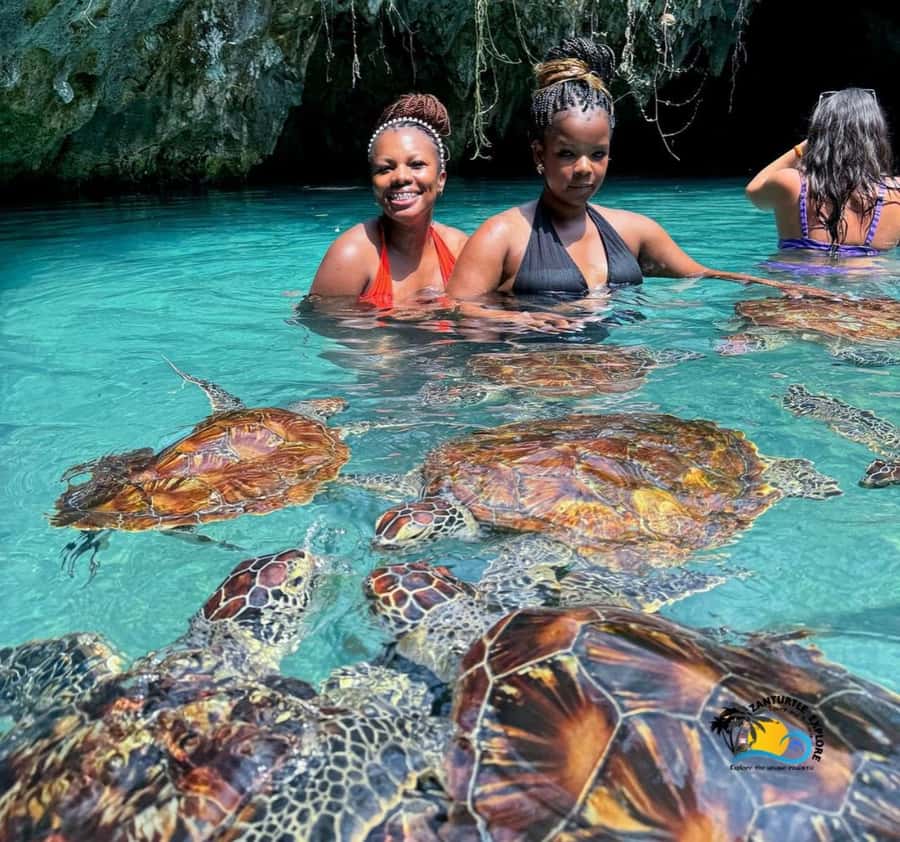 Zanzibar: Swimming with Turtles at Salaam Cave Aquarium - The drive from your hotel to Kizimkazi