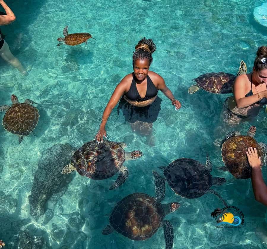 Zanzibar: Swimming with Turtles at Salaam Cave Aquarium - Swimming beside the turtles