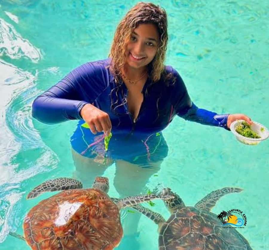 Zanzibar: Swimming with Turtles at Salaam Cave Aquarium - Why the conservation talk matters