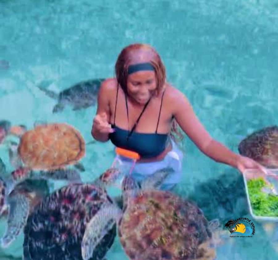 Zanzibar: Swimming with Turtles at Salaam Cave Aquarium - How much value do you get for $56?