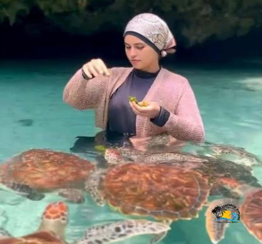 Zanzibar: Swimming with Turtles at Salaam Cave Aquarium - Simple ways to make the visit better