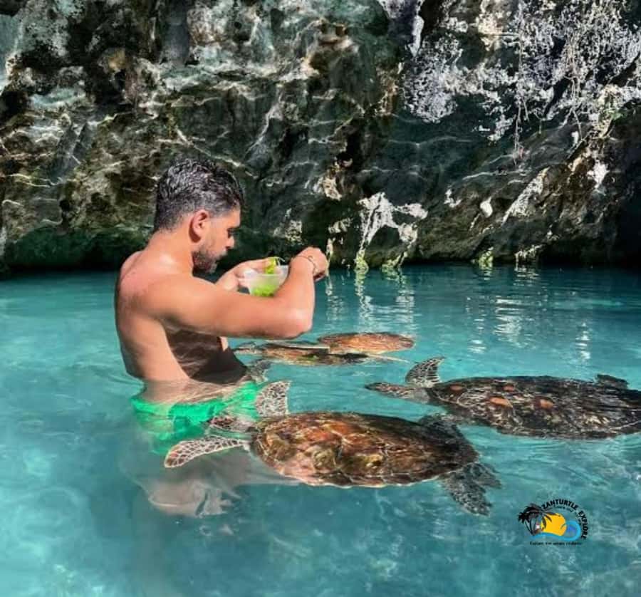 Zanzibar: Swimming with Turtles at Salaam Cave Aquarium - Should you book the Salaam Cave turtle swim?