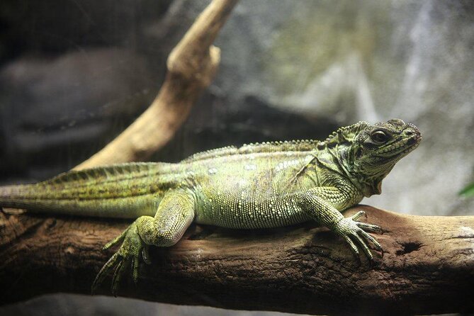 Zaragoza Aquarium Admission Ticket - Key points to know before you go